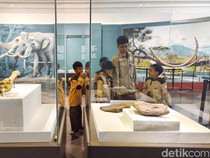 1746594388569-melihat-museum-nasional-di-tengah-wacana-pemberlakuan-buka-sampai-jam-11-malam-1746531471135_43