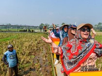 1748581568557-kereta-sawah-kiangroke-wisata-murah-bernuansa-alam-1748502241584_43