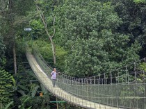 1750028733124-jembatan-gantung-citarum-ikon-baru-ekowisata-di-bandung-barat-1749972436644_43