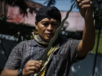 1751000798029-keris-keris-sakti-dimandikan-solo-hidupkan-tradisi-jamasan-1750925549235_43