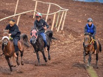 1751130343831-serunya-festival-kuda-cibogo-balapan-sampai-atraksi-renggong-1751110202187_43