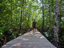 1752037603958-hijau-mangrove-mentawai-harapan-baru-wisata-berkelanjutan-1751973623154_43