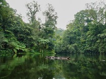 1752037608244-pencinta-alam-wajib-ke-sini-ranu-darungan-punya-anggrek-langka-dan-spot-birdwatching-1751962543569_43