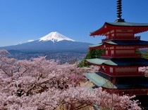 1752728792915-deretan-spot-menarik-menikmati-keindahan-bunga-sakura-di-jepang-1_43
