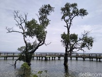 1761369490092-pulau-untung-jawa-di-kepulauan-seribu-1761230734976_43