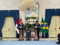 1761369629003-presiden-prabowo-subianto-dan-presiden-brasil-luiz-inacio-lula-da-silva-di-istana-jakarta-1761208537115_43