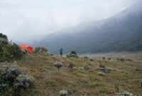 1761477728920-indahnya-pagi-di-alun-alun-surya-kencana-gunung-gede-5_43