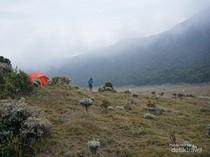 1761477728920-indahnya-pagi-di-alun-alun-surya-kencana-gunung-gede-5_43