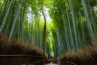 1761672260240-0d9bb76c-d477-446b-b752-0e4fb173ab35_43