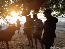 1761801741160-pengunjung-memberi-makan-rusa-di-twa-cagar-alam-pangandaran_43