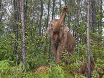 1761909657577-jalan-damai-si-perisai-hidup-7_43