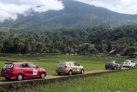 1761909792659-eba002fd-ab1c-405e-ba93-bb61b18429d6_43