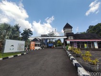 1761974396768-kebun-raya-cibodas-2_43