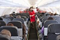 1762233886840-ilustrasi-kabin-pesawat_43