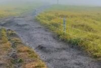 1762255305210-gunung-sumbing-1762236466701_43