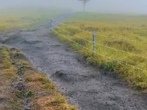 1762255305210-gunung-sumbing-1762236466701_43