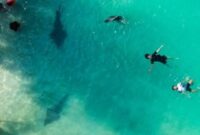 1762320216741-dki-jakarta-bidik-investasi-rp143-triliun-di-sektor-pariwisata-tahun-2025-1762252578232_43