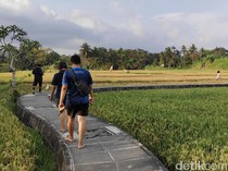 1762341734272-suasana-saat-jogging-di-subak-penarungan-mengwi-badung-bali-foto-agus-ekadetikbali-1761464229689_43