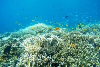 1762428311599-26b85ffe-7335-458f-8e61-14ecfbb9f814_43