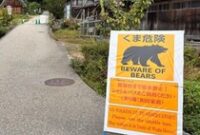 1762493174937-beruang-di-jepang-1761915444944_43