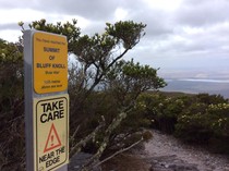 1762514650829-bluff-knoll-1762160970592_43