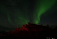 1762536241269-ugc-dtravelers-detiktravel-1762514875521_43