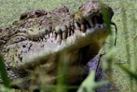 1762622455506-ee26b5af-50e2-472e-9f2f-32c0fda36576_43