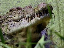 1762622455506-ee26b5af-50e2-472e-9f2f-32c0fda36576_43