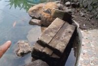 1762968332693-bebatuan-kuno-di-umbul-gedaren-jatinom-klaten-yang-ditemukan-saat-rehab-1762918593472_43