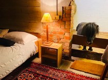 1763011640680-pengingapan-unik-di-inggris-1762938946772_43