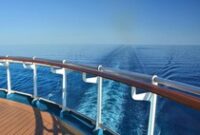 1763205576206-36beebff-2a67-4190-8c76-b9f4ad02499a_43