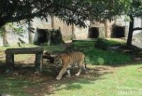 1763357046394-97678cd0-f14a-4830-84eb-1c3b3e335eca_43