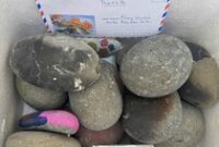 1763357184991-turis-kembalikan-batu-pantai-curian-di-vietnam-1763112568473_43