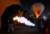 1763400169561-warna-warni-balon-udara-hiasi-langit-leon-di-festival-internasional-2025-1763360668473_43