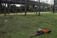 1763400311514-5f26bfcd-9979-4b3b-afa8-2ba77877dfb5_43