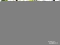 1763463906710-ugc-dtravelers-detiktravel-1763451925347_43