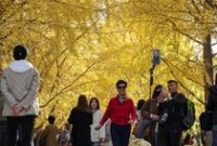 1763528705295-momen-terbaik-nikmati-musim-gugur-di-beijing-1762858889757_43