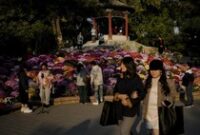 1763528706461-terpesona-indahnya-bunga-warna-warni-di-taman-beijing_43