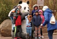 1763528713135-national-zoo-hidup-lagi-setelah-penutupan-pemerintah-as-berakhir-1763436259335_43