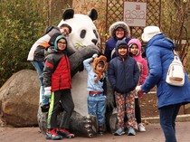 1763528713135-national-zoo-hidup-lagi-setelah-penutupan-pemerintah-as-berakhir-1763436259335_43