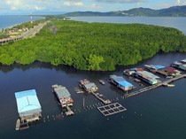 1763528714316-hutan-bakau-di-jayapura-ini-hanya-boleh-dimasuki-perempuan_43