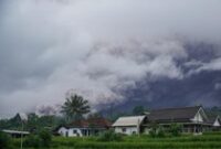 1763615122785-semeru-erupsi-awan-panas-menggulung-lereng-sumberwuluh-1763608400518_43