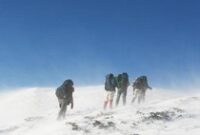 1763615124201-b1a463b0-270d-4c9e-8bfb-5171d034499e_43