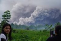 1763636690178-semeru-erupsi-awan-panas-menggulung-lereng-sumberwuluh-1763608400571_43