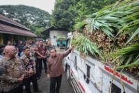 1763658301365-viral-harimau-kurus-gubernur-pramono-langsung-cek-kondisi-ragunan-1763626459984_43