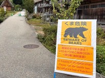 1763701502649-beruang-di-jepang-1761915444944_43