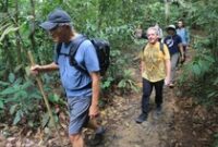 1763809503961-jungle-trekking-ke-dalam-kawasan-ekosistem-leuser-1763738224697_43