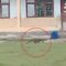 1763874301195-komodo-berkeliaran-di-area-sekolah-di-kecamatan-komodo-manggarai-barat-ntt-foto-dok-riana-farid-1763729719814_43