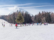 1763960686922-liburan-musim-dingin-di-hokkaido-jepang-1763952178058_43