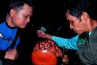 1764068700695-penemuan-rafflesia-hasseltii-1763624904087_43